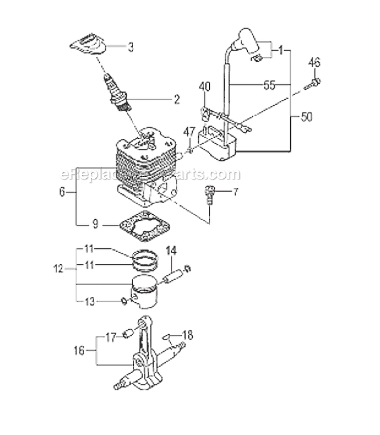 Cylinder, Piston, Crankshaft, Ignition Diagram and Parts List for HTS-2530PF  Tanaka Hedge Trimmer