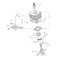 Page F Diagram and Parts List for TPS-250PN  Tanaka Pole Saw