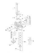 Part Location Diagram of 2403219-S Kohler Seal: Oil (helix Lip)