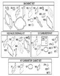 Part Location Diagram of 272248 Tecumseh Intake Gasket