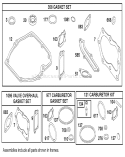 Gasket Sets and Carburetor Kit Diagram and Parts List for 20045 9900001-9999999 - 1999 Toro Lawn Mower