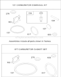 Carburetor Overhaul Kit Diagram and Parts List for 20047 260000001-260999999 - 2006 Toro Lawn Mower
