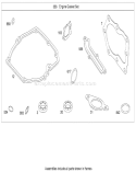 Engine Gasket Set Diagram and Parts List for 20089 280000001-280999999 - 2008 Toro Lawn Mower