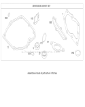 Gasket Assembly Diagram and Parts List for 20655 250000001-250999999 - 2005 Toro Lawn Mower