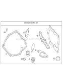 Engine Gasket Set Diagram and Parts List for 20058 250000001-250999999 - 2005 Toro Lawn Mower