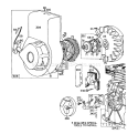 Rewind Starter Diagram and Parts List for 58125 4000001-4999999 - 1974 Toro Tiller