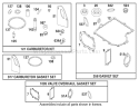 Carburetor, Overhaul and Gasket Sets Briggs and Stratton 284707-1148-E1 Diagram and Parts List for 71199 220000001-220999999 - 2002 Toro Lawn Tractor