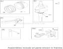 Crankshaft Assembly Briggs and Stratton 219907-0170-E1 Diagram and Parts List for 71209 250005001-250999999 - 2005 Toro Lawn Tractor