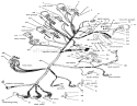 Part Location Diagram of 114633 Tecumseh Terminal