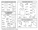 Carburetor Overhaul Kit Assembly Engine Diagram and Parts List for 74590 220000001-220999999 - 2002 Toro Lawn Tractor