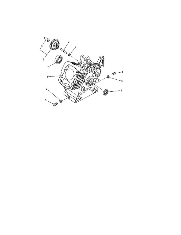 Cylinder Block Diagram and Parts List for 01923  Troy-Bilt Generator