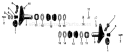 Page I Diagram and Parts List for 34313 S/N 0100101-0299999 Troy-Bilt Lawn Mower