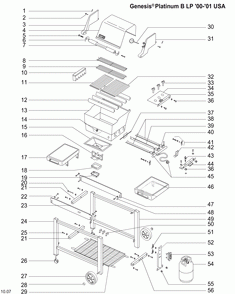 Part Location Diagram of 7638 Weber PECI GRATES (2) SPIRIT 300S