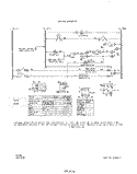 WIRING DIAGRAM Diagram and Parts List for 2055B1A  Roper Range