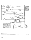 SECTION Diagram and Parts List for 2843W0A  Roper Range