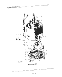 ELECTRICAL Diagram and Parts List for KWD200  KitchenAid Food Waste Disposer