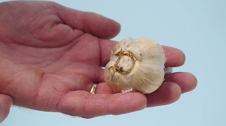 Peel a garlic in your microwave