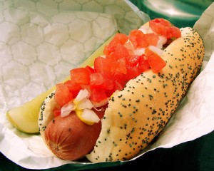 chicagodog