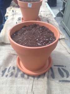 fairgarden3