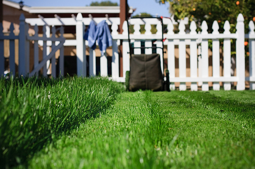 lawnmower
