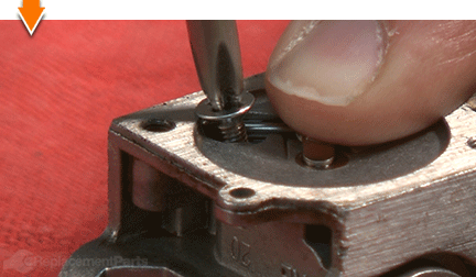 Remove the screw