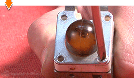 Remove the plate screws