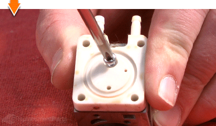 Remove the screw