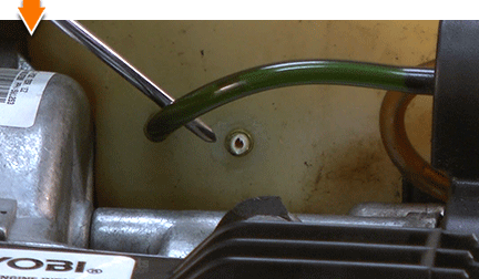 Clip the stem flush with the tank