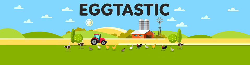 Everything You Need to Know About Eggs