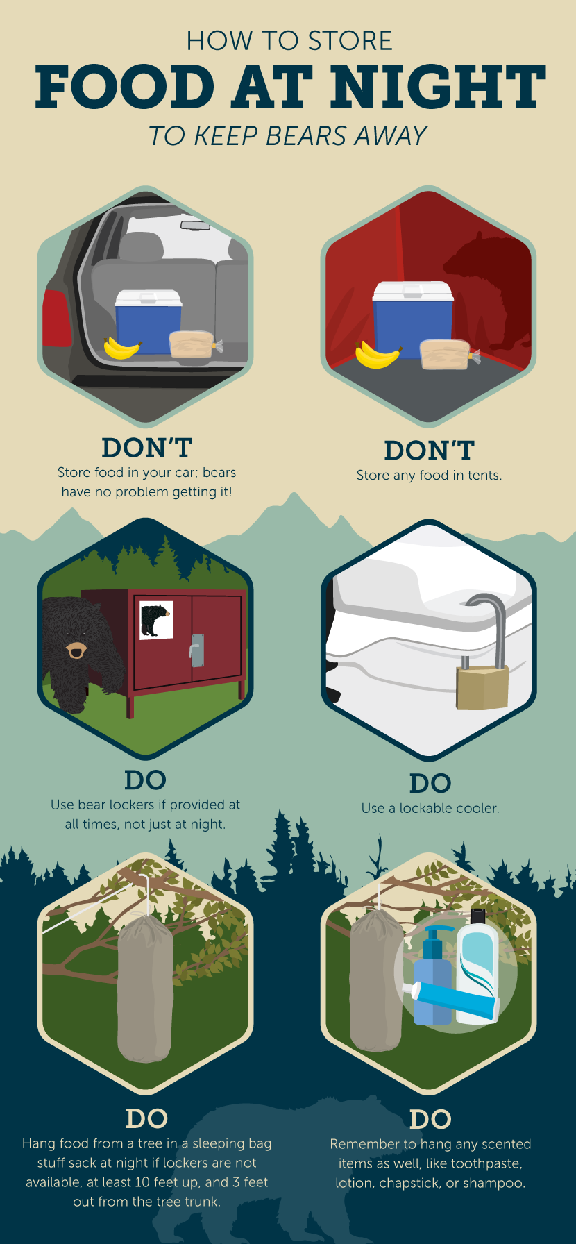 How to Store Food at Night - How to Set up Your Campsite