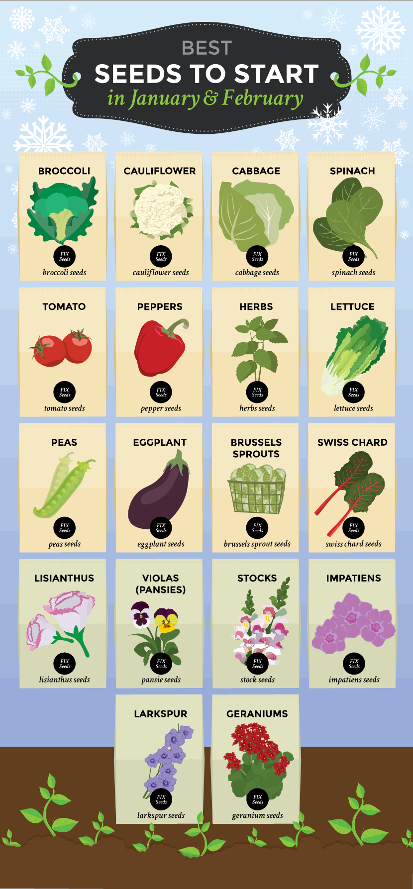 Seeds to Start in January and February - Starting Seeds in Winter for a Spring Garden