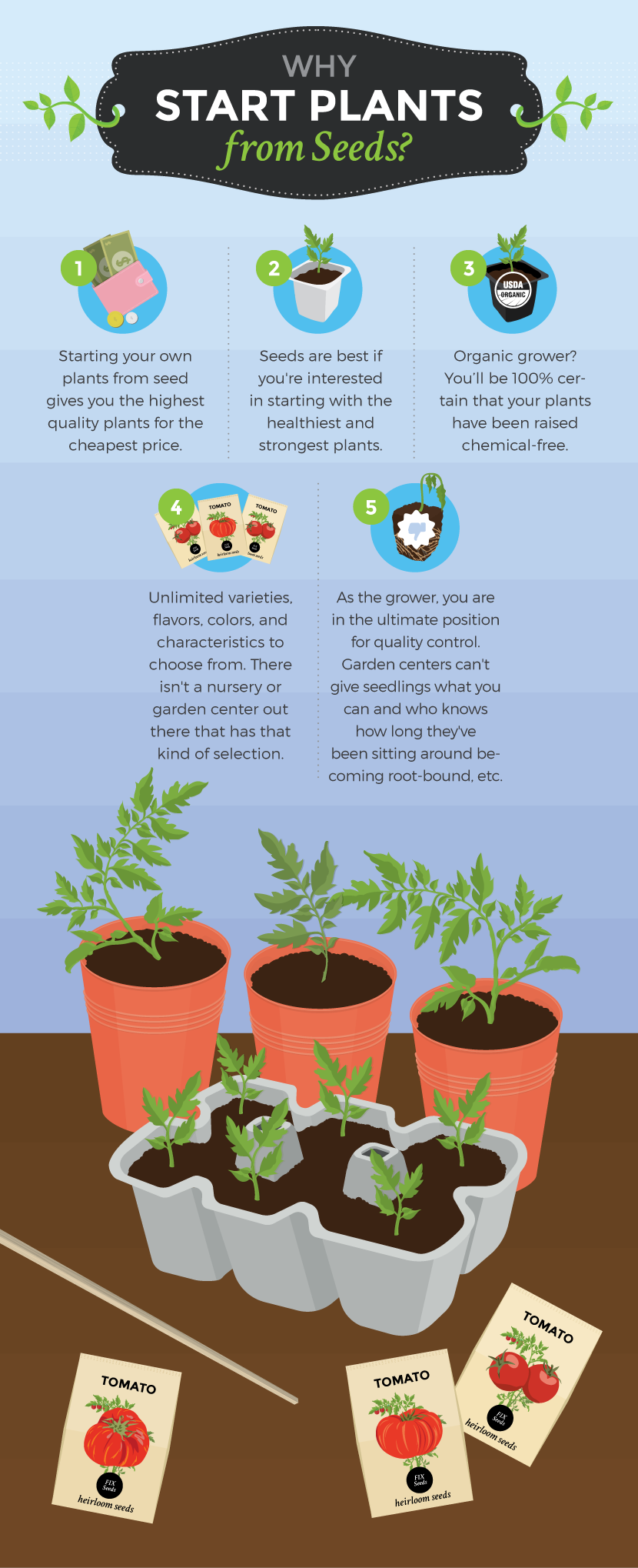 Why Start Plants From Seeds - Starting Seeds in Winter for a Spring Garden