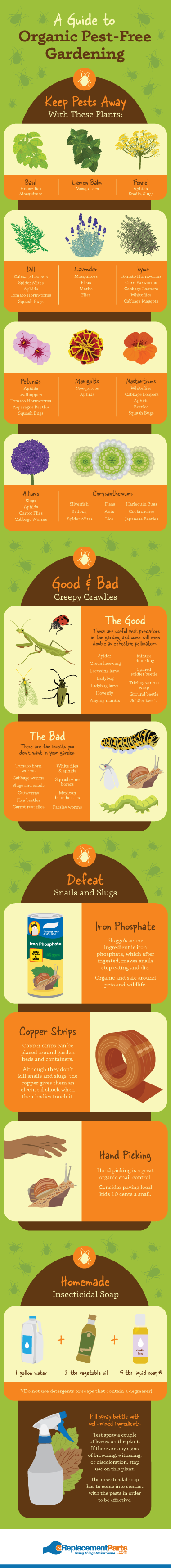 Organic Pest Solutions