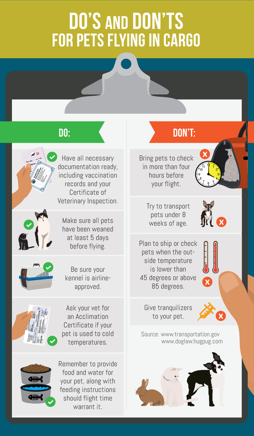 Do's and Dont's of Flying Pets in Cargo - Guide to Flying with Your Pet