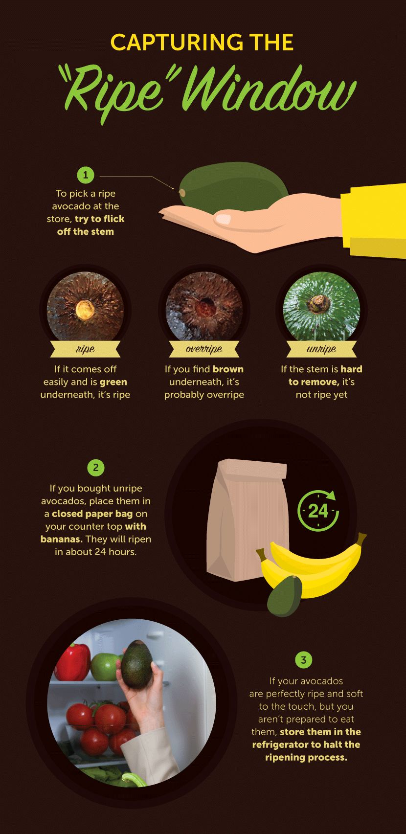10 Ways to Make Gourmet Avocado Toast - Capturing the Ripe Window