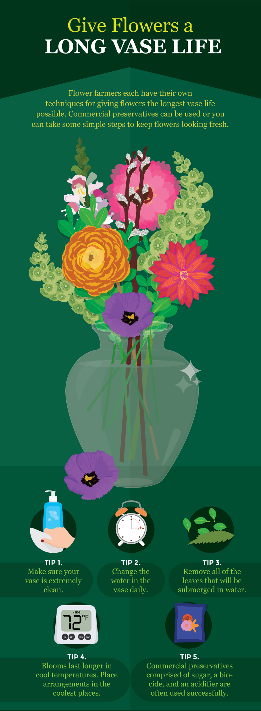 Give Flowers a Long Vase Life - A Guide to Growing Your Own Cutting Flowers