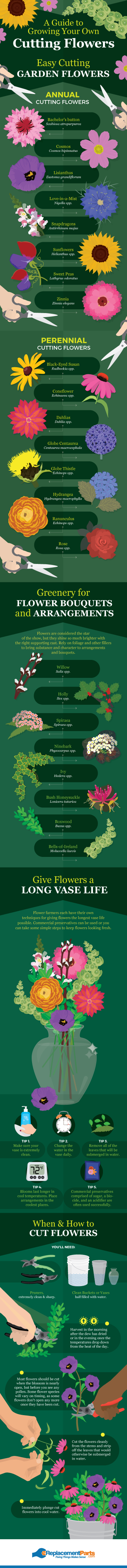Growing Flowers For Cutting