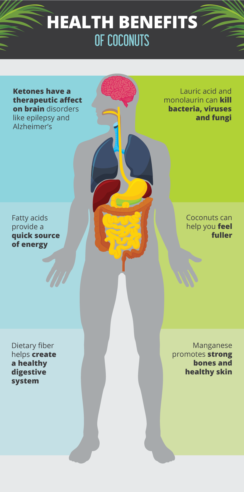 Health Benefits of Coconuts - Unique Ways to Incorporate Coconuts Into Your Life