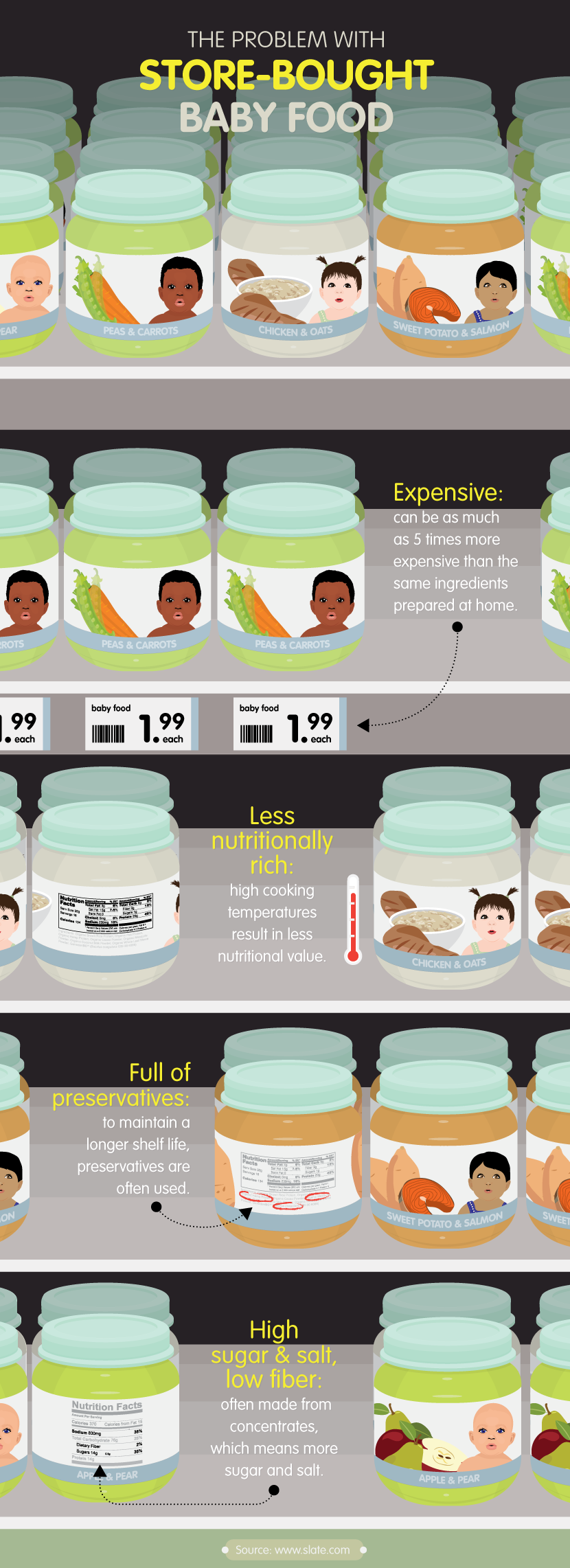 The Problem With Store-Bought Food - DIY Baby Food You Can Make at Home