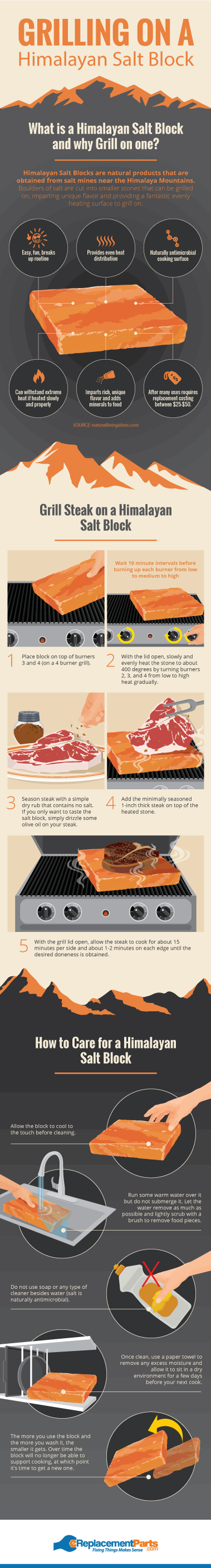 Himalayan Salt Block Grilling