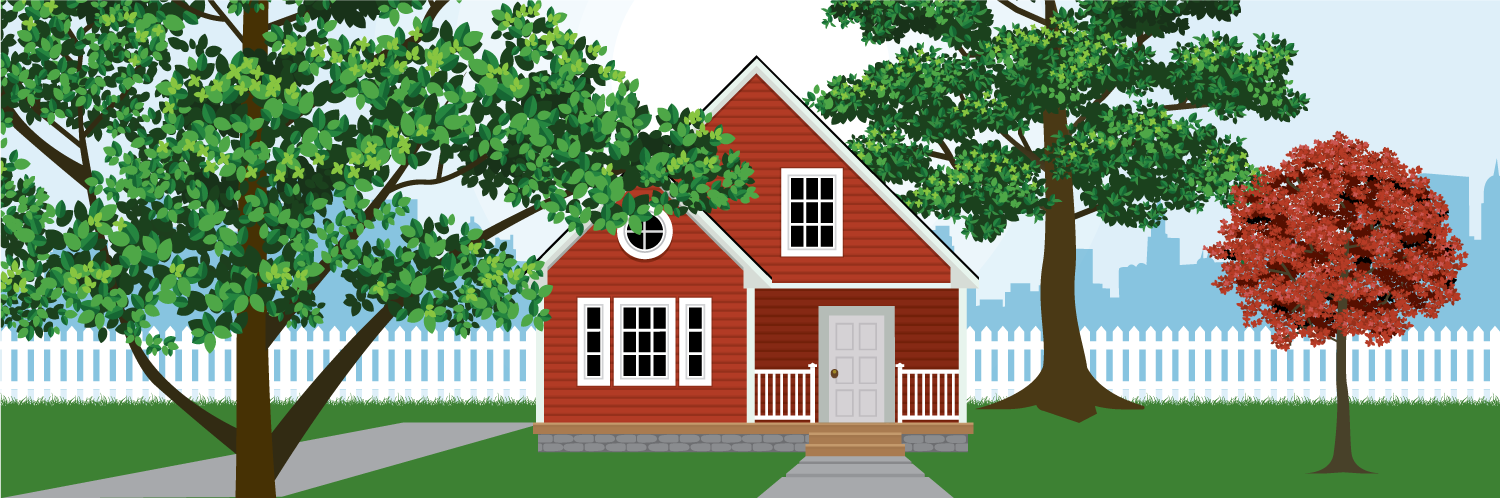 How to Choose a Tree For Your Yard or Garden