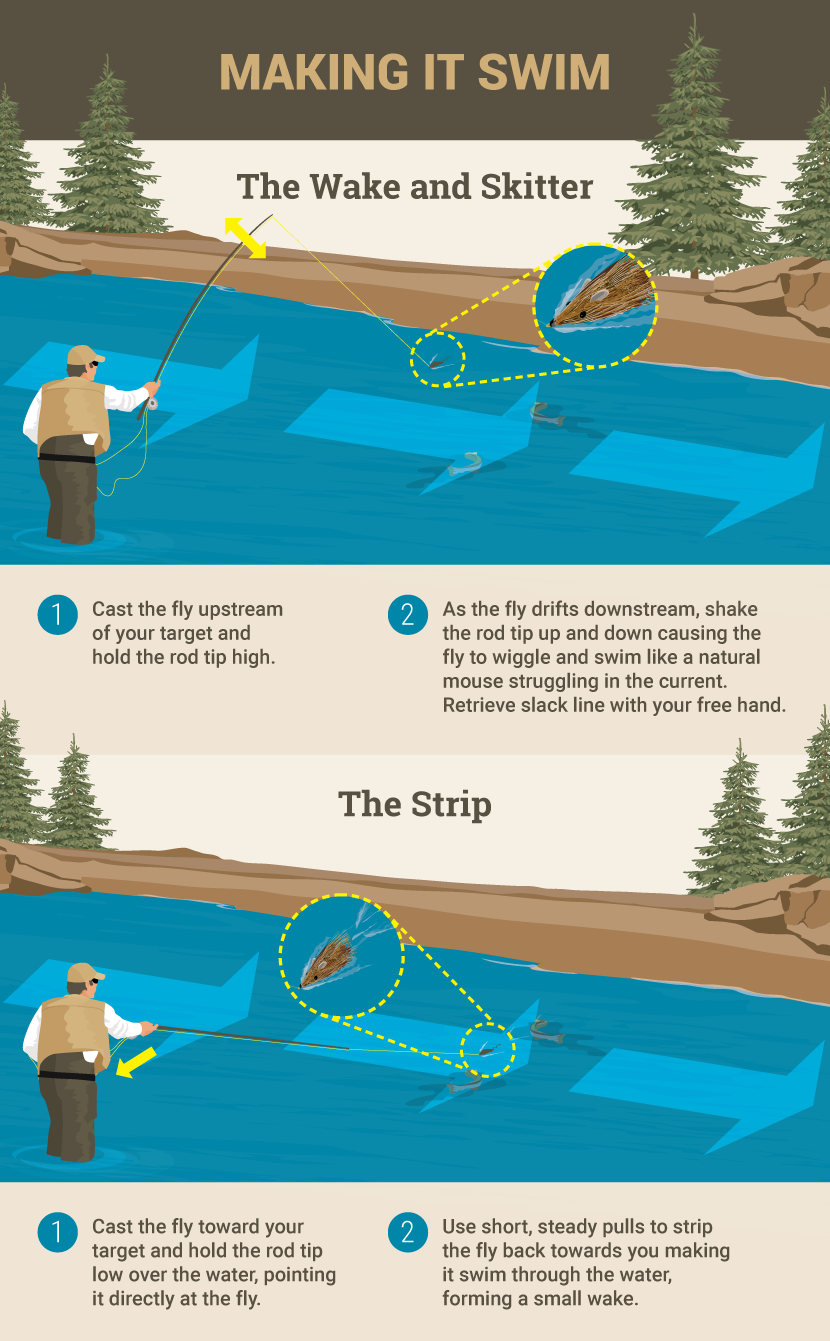 Making It Swim - Mastering the Mouse Retrieve
