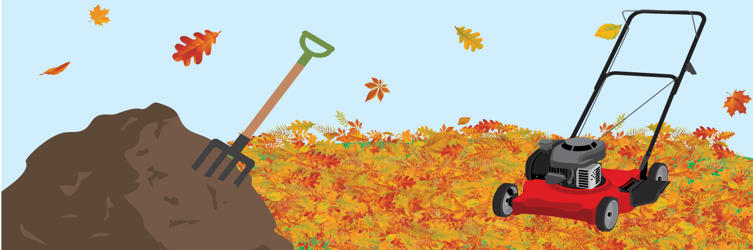 Fall Lawn Care: 4 Key Tips