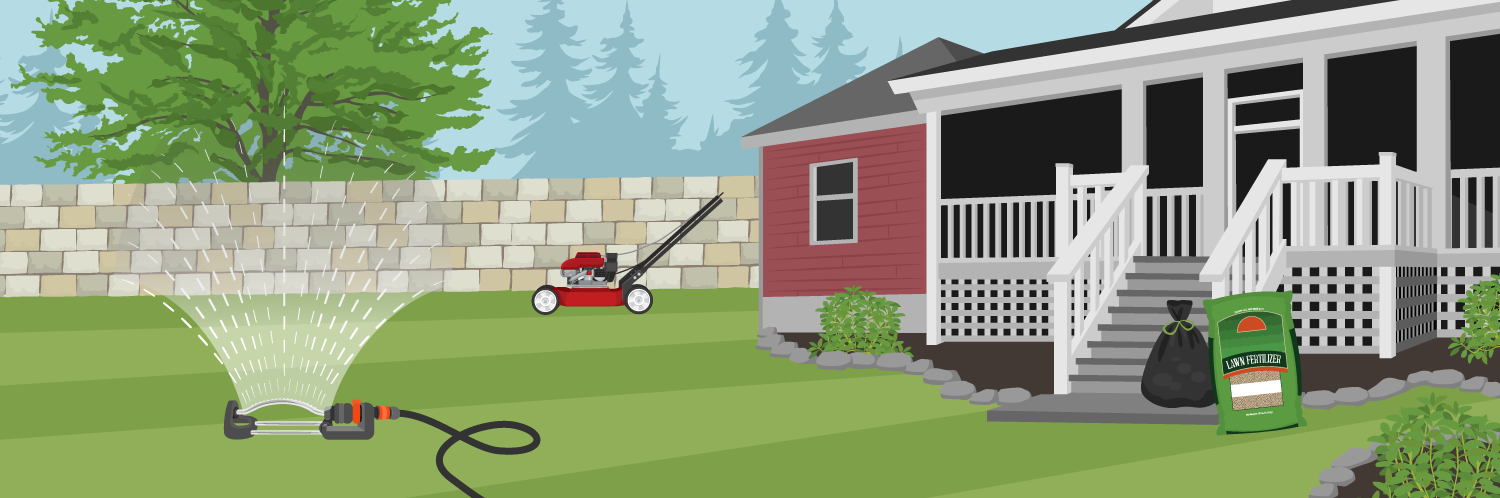 How to Identify, Prevent and Treat Lawn Disease
