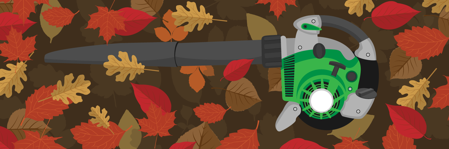 My Leaf Blower Won't Start
