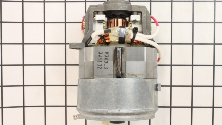 Blender: Burnt or Electrical Smell From Motor