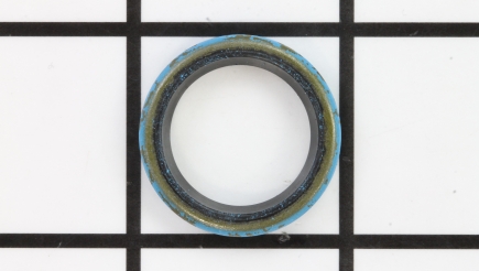 Engine Parts: Leaks oil