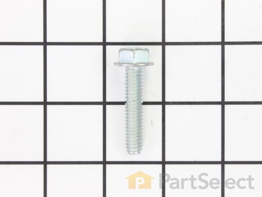 10000366-1-M-Snapper-704318-Screw, Self-tapping 5/16-18 X