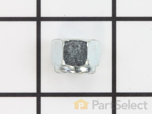 10003475-1-M-Craftsman-712148MA-Nut
