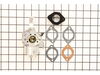 Carburetor – Part Number: 715669